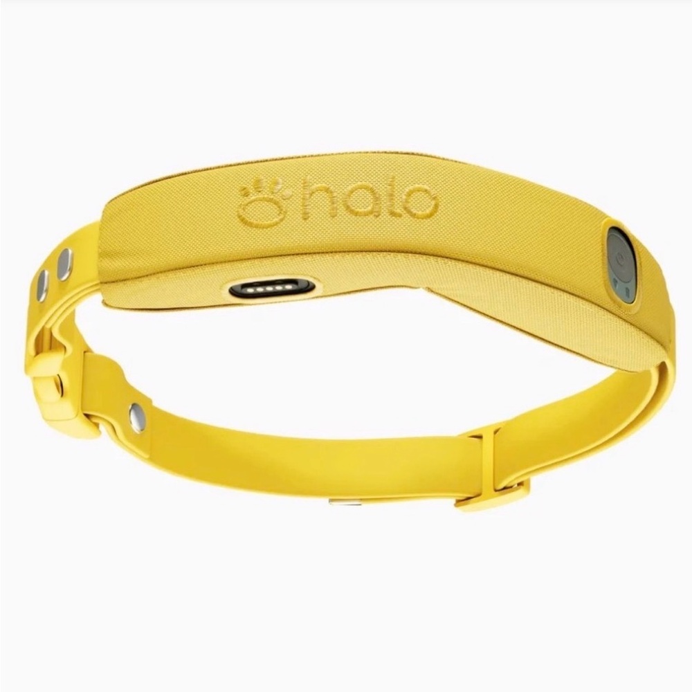 Halo Dog Collar 4